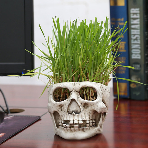 Maceta Plantada Con Forma De Cabeza De Calavera De Resina