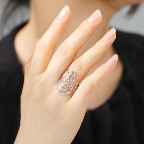 Anillo Atrapasueños Protección Para Hombres Ajustable Acero