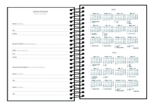 Agenda 2025 Diaria Spice Espiral Cores M6 Tilibra 160 Fls Capa Cinza