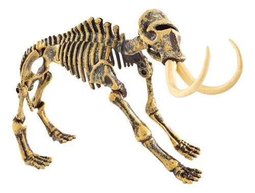 Juguete De Huesos De Esqueleto Modelo Dinosaurio Para Niños