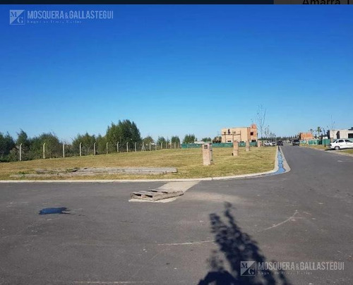 Imagen 2 de 3 de Terreno - Vila Marina