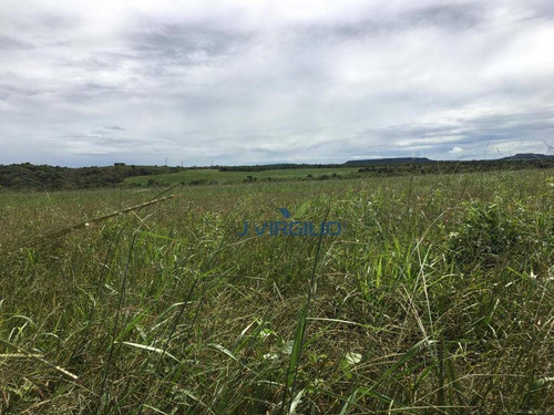 Imagem 5 de 11 de Fazenda Com 4 Dormitórios À Venda, 8712000 M² Por R$ 12.000.000,00 - Jardim Mariano - Barra Do Garças/mt - Fa0006