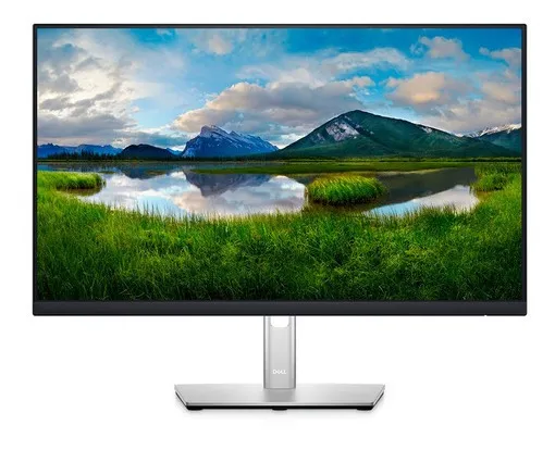 Dell P2422HE 23.8 "