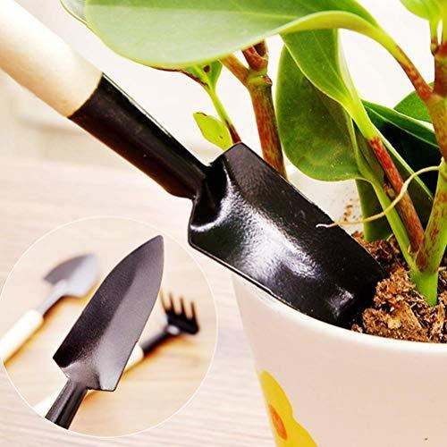 Yanshon 15 Pcs Succulent Plants Tools Set Mini