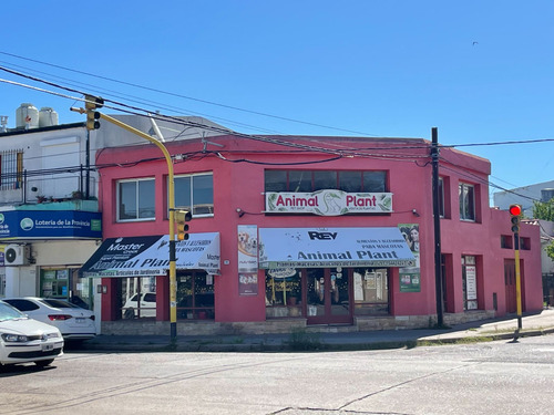 Imagen 3 de 4 de Venta Local Comercial Universitario Con Cochera