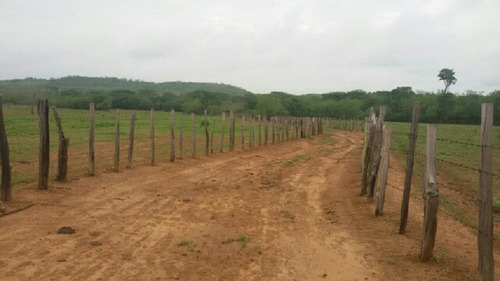 Imagen 9 de 14 de Finca En Venta En San Jose De Guaribe