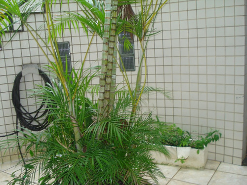 Cobertra Jardim Panorama - Ipatinga -mg