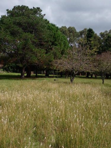 Alquiler De Campo De 4 Hectareas En El Boqueron, Apto Para Cria De Animales
