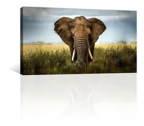 Comprar Cuadro Decorativo Animales Canvas Elefante Entre Pastizal