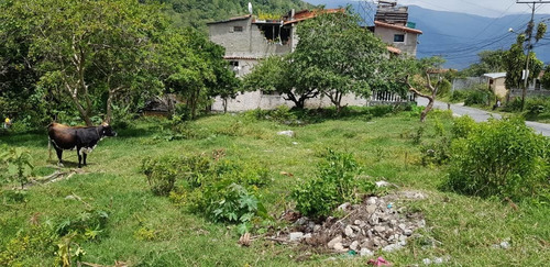 Imagen 3 de 7 de Terreno En Venta