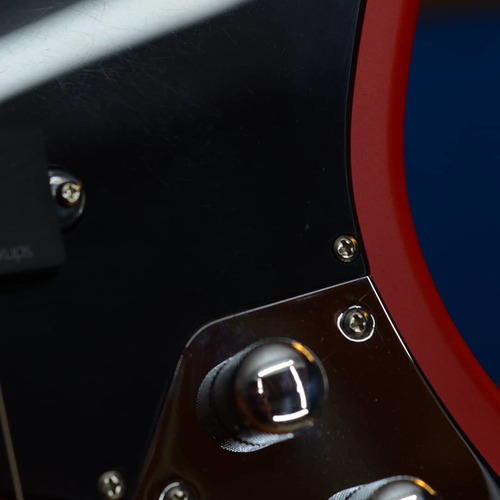 Imagen 5 de 5 de Tornillos De Pickguard X20