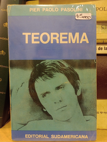 Teorema - Pier Paolo Pasolini - Ed Sudamericana