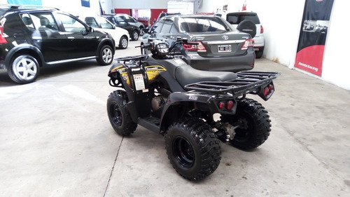 Imagen 4 de 15 de Kawasaki Brute Force 300