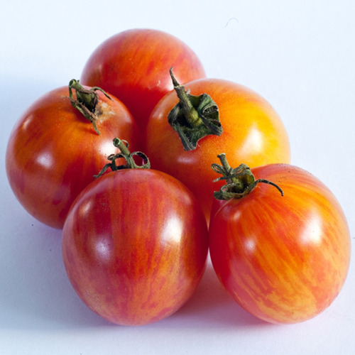 Sementes De Tomate Bumble Bee - Tomate Cereja Cherry Raro