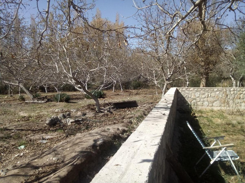 Imagen 17 de 30 de Finca En Venta En Los Molinos La Rioja