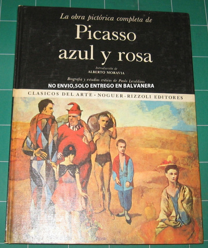 Libro Picasso Azul Y Rosa Tapas Duras 31,5x24 Ctms 120 Pág*