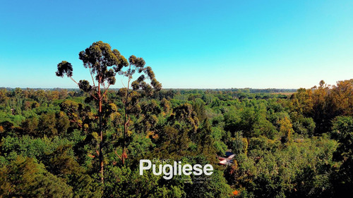 Terreno En Venta En Moreno