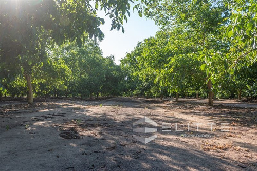 Imagen 14 de 29 de Parcela En Venta En Casablanca