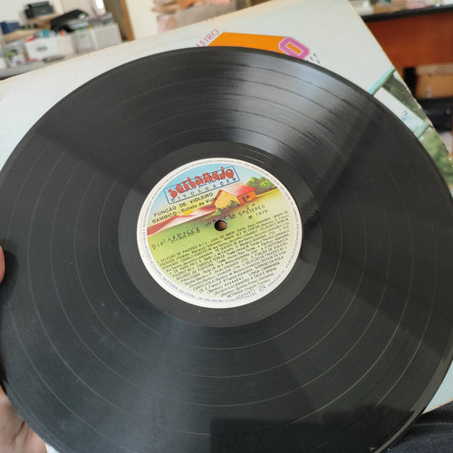 Lp Bambico, Solista De Viola - Função De Violeiro - Raro Exc (Usado)
