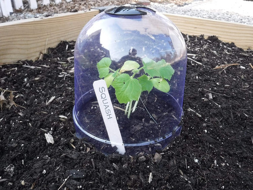 Mini Invernadero De Plástico Reutilizable Para Cubrir Planta