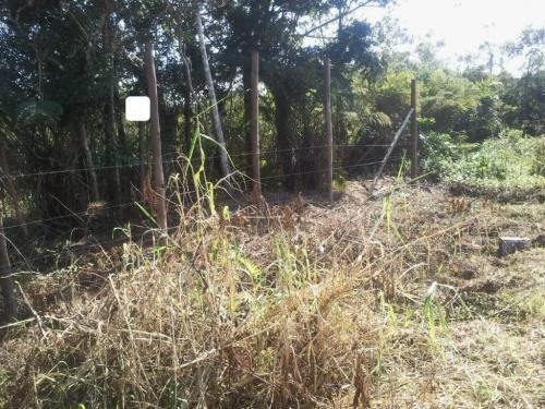 Imagem 1 de 2 de Terreno Em Peruíbe Com Aguá E Luz | 6426 E