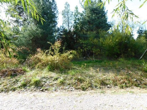 Imagen 8 de 12 de Terreno 450 Mt2 Lago Puelo Con Arboles Autoctonos Cercado