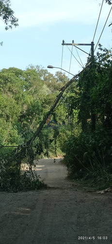 Imagem 14 de 15 de Terreno Em Condomínio Em Local Privilegiado De Embu Km 26 Raposo - 491