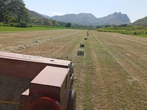 En Guarico Carretera A San Juan De Los Morros , Espectacular Hacienda De 88 Has, 20 De Ellas Vegas A Orillas Del Río Guárico,mls#24-637