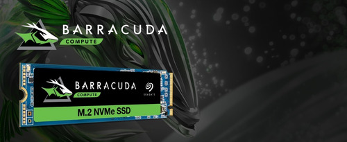 Hd Ssd M.2 Nvme Seagate Barracuda 510 512gb