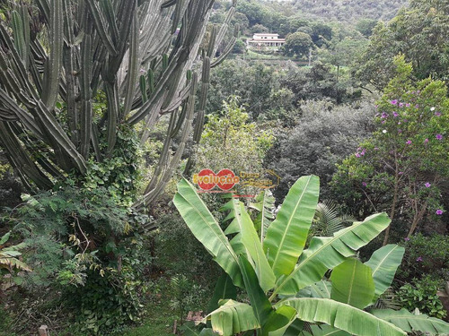 Imagem 16 de 18 de Chácara - Parque Valinhos - Ch0830