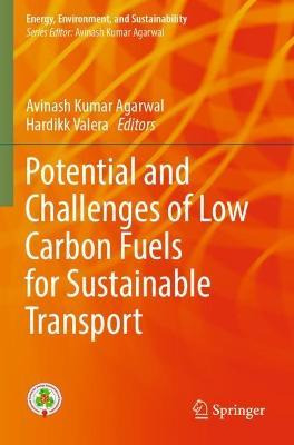 Libro Potential And Challenges Of Low Carbon Fuels For Su...