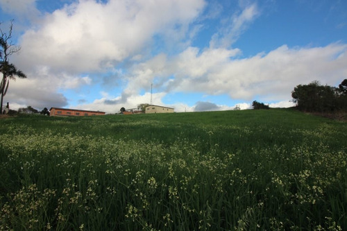 Imagem 5 de 13 de Terreno À Venda, 2500 M² Por R$ 960.000,00 - Centro - Campo Magro/pr - Te0364