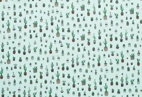 Cuerina Estampada Ecocuero Cactus Plantas Macetas Por Metro