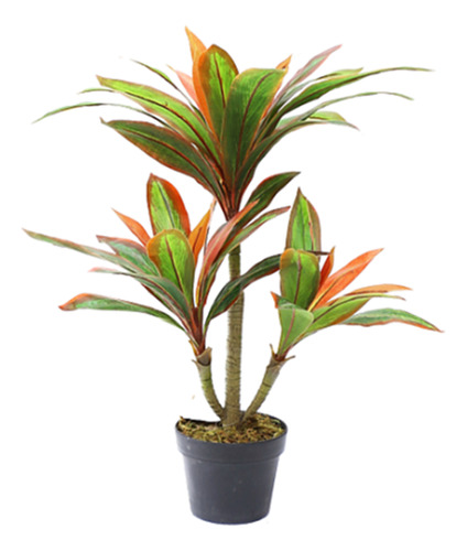 Dracena Hoja Multicolor De 75 Cm, Vadell Home