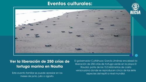 Terrenos En Venta En Veracruz