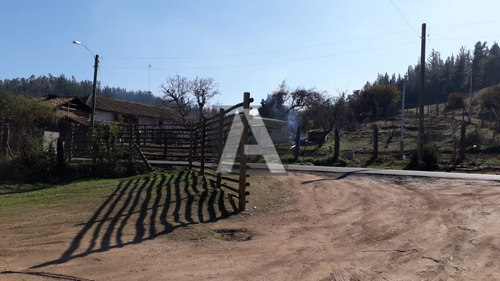 Imagen 2 de 14 de Paredones, Vendo Predio Agrícola Forestal, 23,5 Hectáreas...