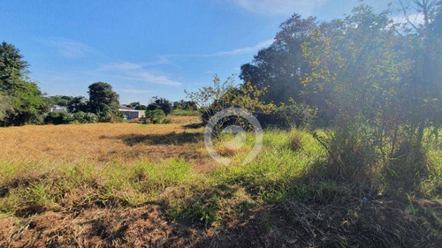 Imagem 1 de 4 de Área De Terreno Na Quadra Da Avenida Bom Jardim Em Ivoti - Te0428