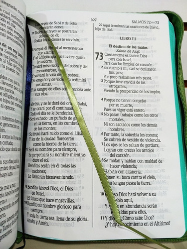 Imagen 6 de 7 de Biblia Letra Gigante Rvr-60 Jeans Con Cierre Verde E Índice