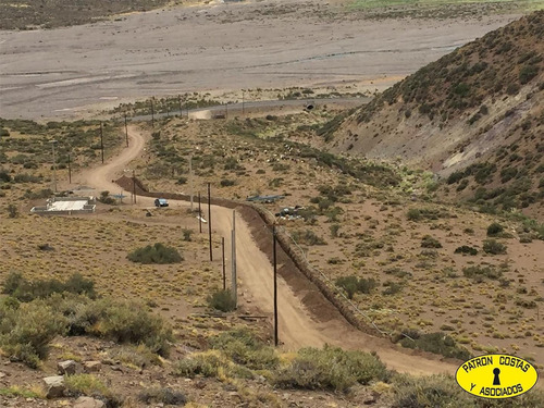 Imagen 6 de 6 de 2435ml-fraccion 53 Ha Los Molles - Malargue_mendoza