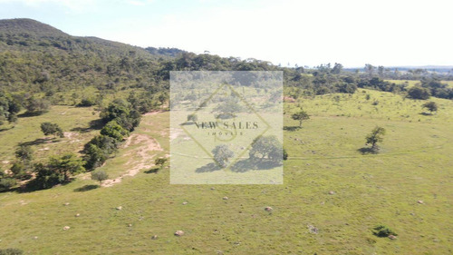 Imagem 2 de 5 de Fazenda Próxima De Uruana!! - 6903