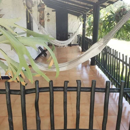Imagen 13 de 15 de Terreno En Venta Bejuma