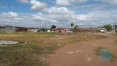 Imagem 4 de 7 de Terreno Com 3.000mº No Golandim - L-10838