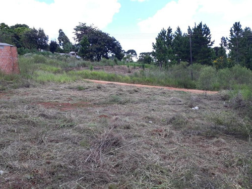 Imagem 3 de 7 de Terreno Na Chapada - Te0224