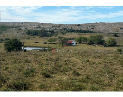 Campo En Uruguay, Aiguá, Ruta 13- Ref: 25110