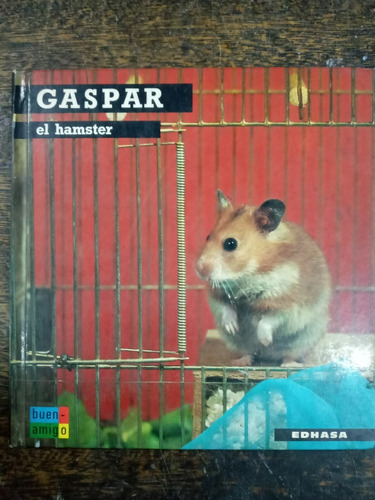 Gaspar El Hamster * Ana Maria Pajot * Edhasa *