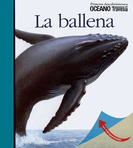 ** La Ballena ** Transparencias Oceano Travesia 