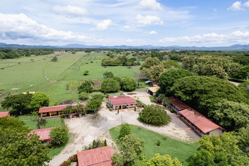 Imagen 2 de 15 de Property For Sale!!! 20 Hectareas