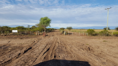 Campo 2.300 Hectáreas En La Provincia De San Luis 