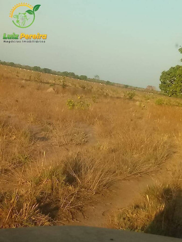Imagem 9 de 11 de Fazenda À Venda Em Peixe - To - 1.390 Hectares (dupla Aptidão) - 1634
