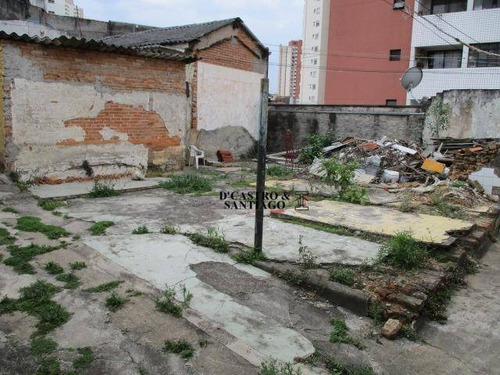 Imagem 5 de 8 de Terreno Residencial À Venda, Vila Bertioga, São Paulo. - Te0023